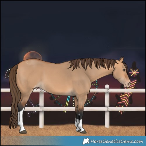 Horse Color:Bay Dun Tobiano Varnish 