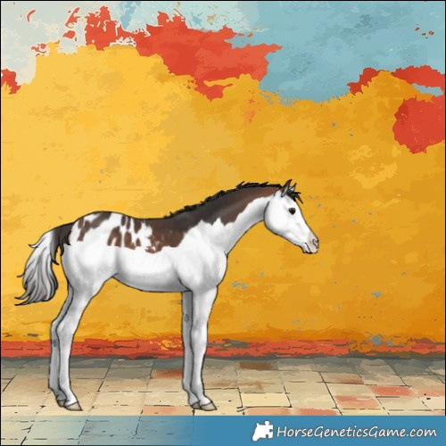 Horse Color:Bay Splash Blanket