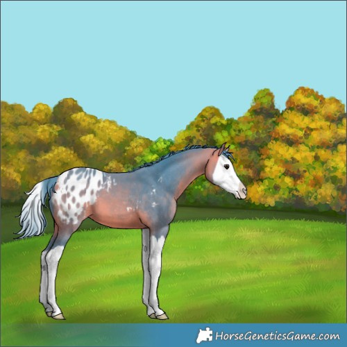 Horse Color:Watercolor Bay Splash Blanket