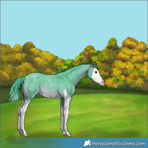 Horse Color:Watercolor Brown Roan Sabino Splash Varnish 