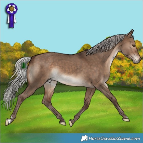 Horse Color:Silver Bay Dun 