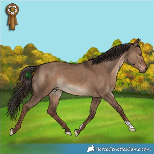Horse Color:Liver Red Dun 