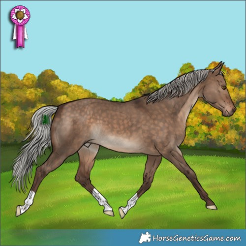 Horse Color:Silver Bay Dun 