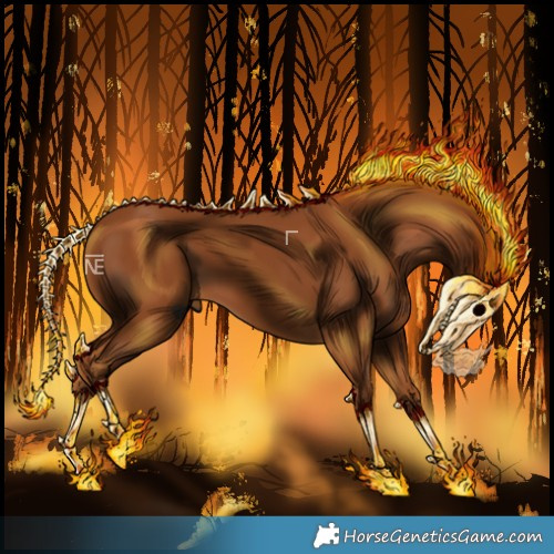 Horse Color:Gray Chestnut 