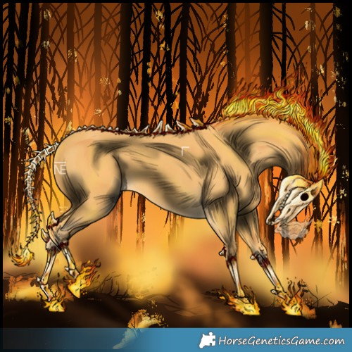 Horse Color:Palomino 