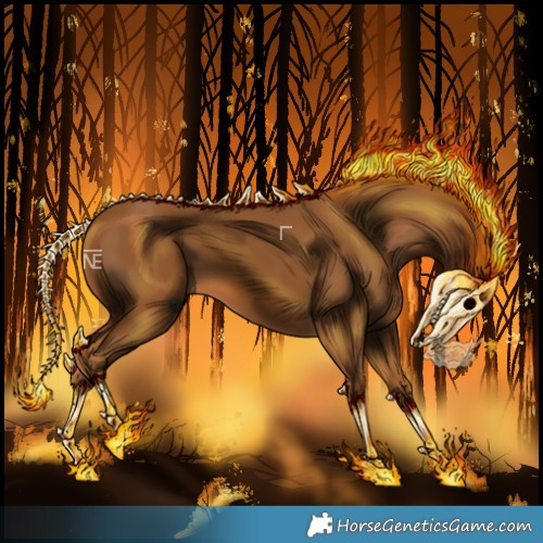 Horse Color:Gray Chestnut 