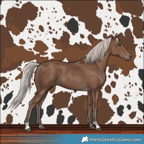 Horse Color:Silver Black 