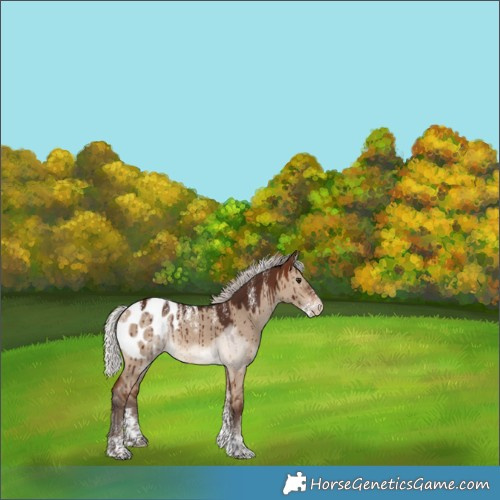 Horse Color:Powder White Silver Brown Dun Blanket Brindle 