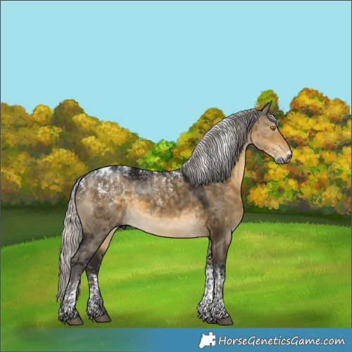 Horse Color:Powder White Gray Silver Buckskin Dun 