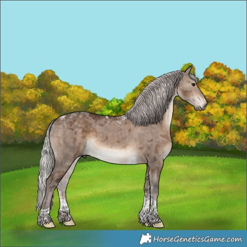 Horse Color:Powder White Silver Brown Dun Tobiano Brindle 