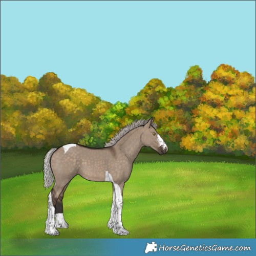 Horse Color:Silver Brown Dun Sabino Tobiano