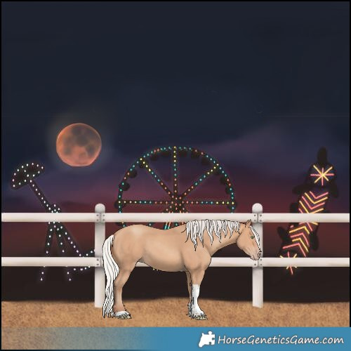 Horse Color:Silver Amber Champagne Tobiano