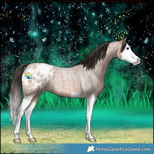 Horse Color:Bay Roan Splash Blanket