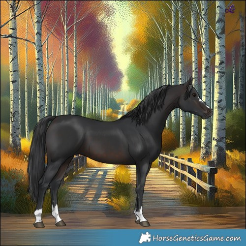 Horse Color:Brown 