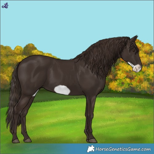Horse Color:Liver Chestnut Frame 