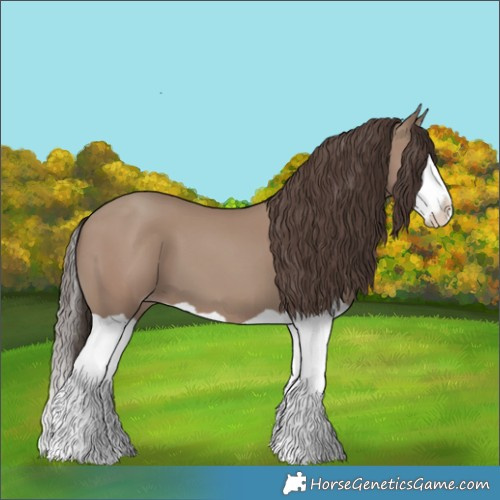 Horse Color:Classic Champagne Splash 