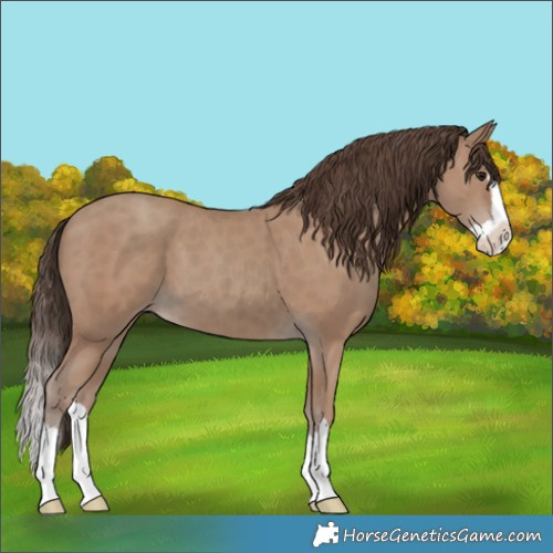 Horse Color:Classic Champagne Splash 