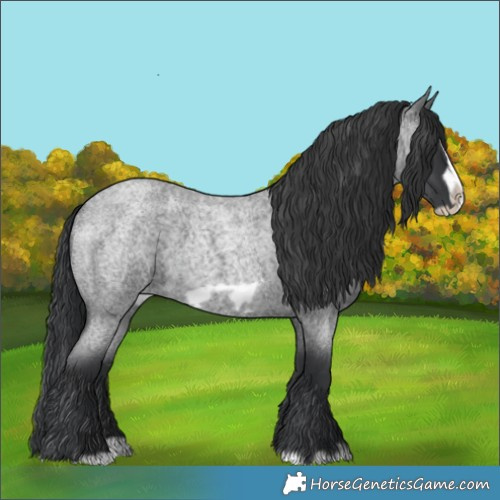 Horse Color:Blue Roan Splash Frame 