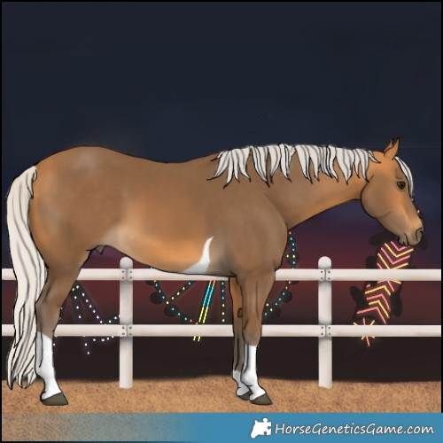 Horse Color:Silver Buckskin Tobiano