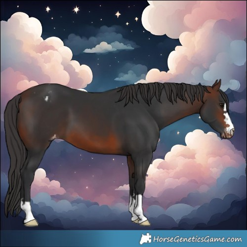 Horse Color:Brown Varnish 
