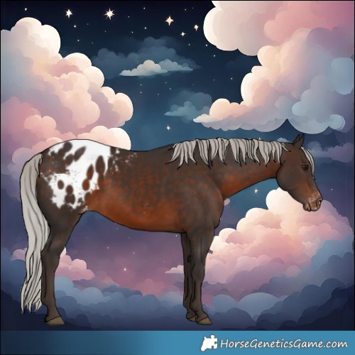 Horse Color:Silver Brown Blanket 
