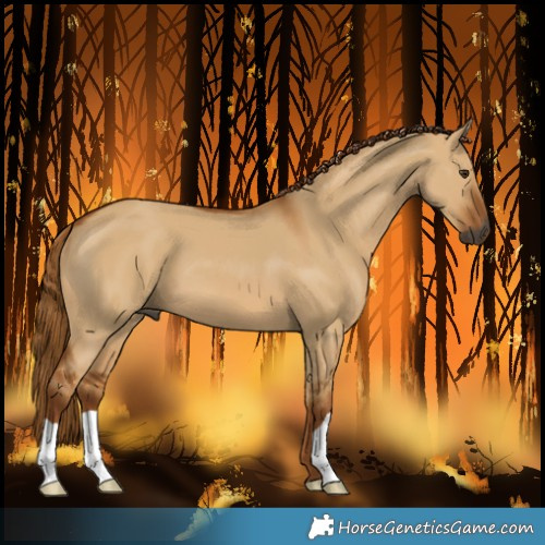 Horse Color:Gray Red Dun 