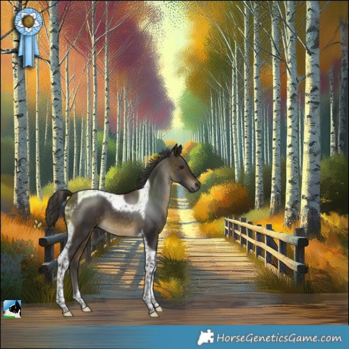 Horse Color:Buckskin Tobiano