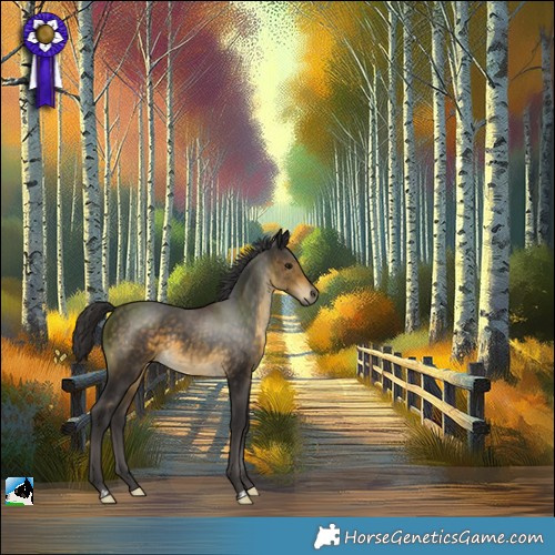 Horse Color:Buckskin Rabicano 