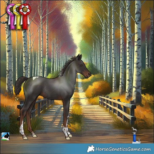 Horse Color:Liver Chestnut Tobiano Rabicano