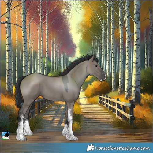 Horse Color:Grullo Sabino