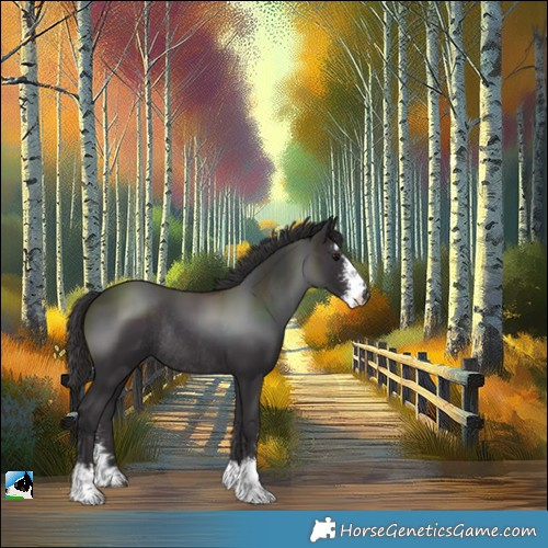 Horse Color:Smoky Black Sabino Rabicano