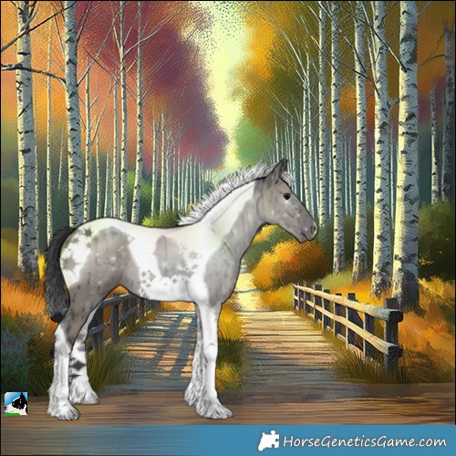 Horse Color:Grullo Tobiano Rabicano Brindle 