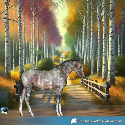 Horse Color:Brown Sabino Rabicano
