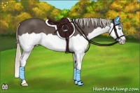 Horse Color:Silver Black Splash