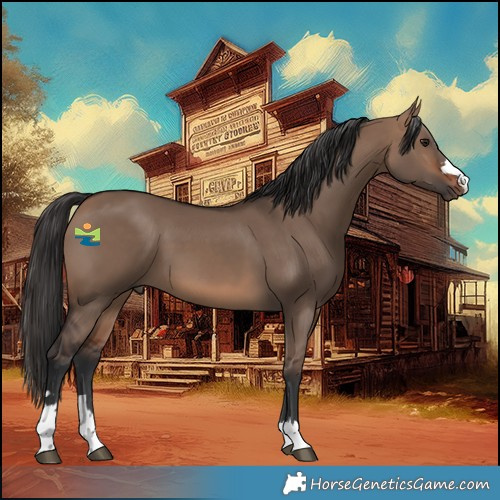 Horse Color:Brown Dun 