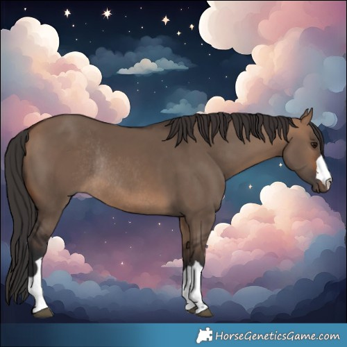 Horse Color:Bay Dun Rabicano