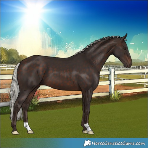Horse Color:Silver Brown 