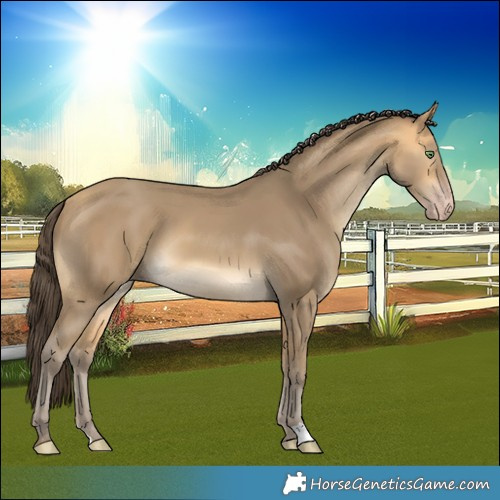 Horse Color:Sable Cream Champagne 