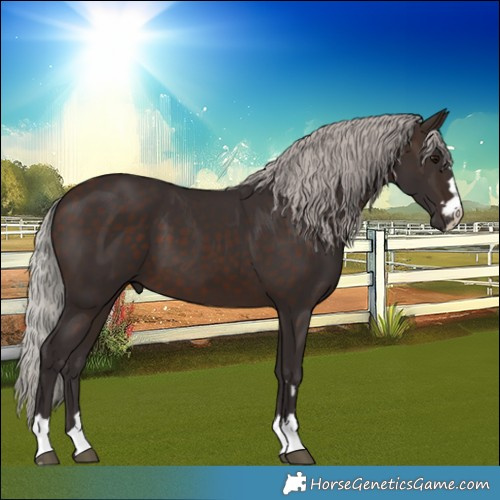 Horse Color:Silver Brown
