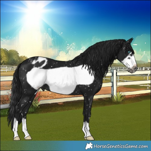 Horse Color:Gray Brown Frame Blanket