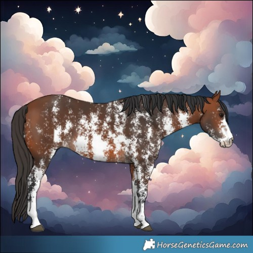 Horse Color:Bay Sabino 