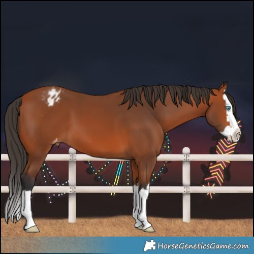 Horse Color:Bay Splash Varnish 