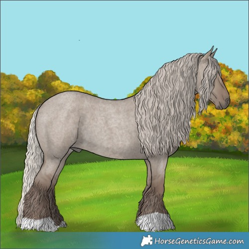 Horse Color:Silver Grullo Roan