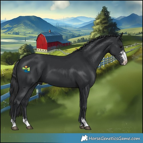 Horse Color:Black Sabino 