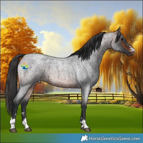 Horse Color:Brown Roan