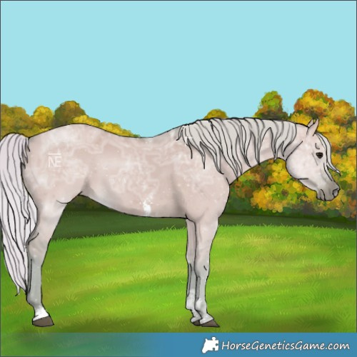 Horse Color:Watercolor Silver Smoky Grullo Ice Sabino
