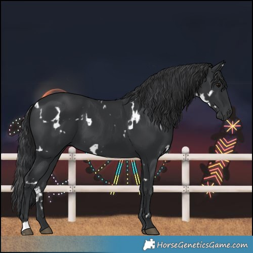 Horse Color:White Spotted Black