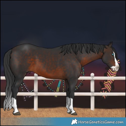 Horse Color:Brown Splash