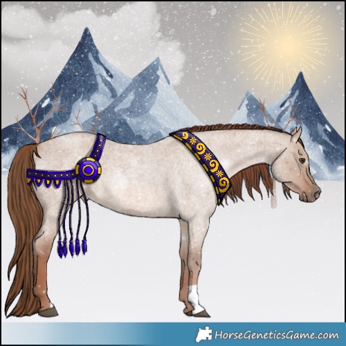 Horse Color:Red Dun Roan 