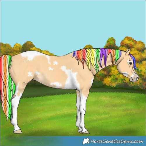 Horse Color:Unknown 